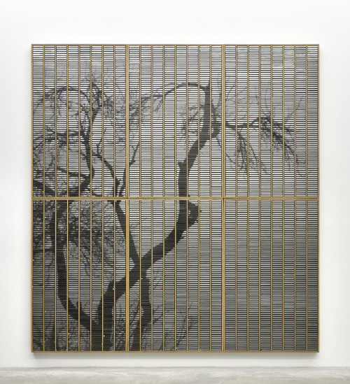 
     <i>Burning from the inside</i>, 
     2017<br />
     ink jet print and plastic boxes in wooden case, 
      319 x 297 x 9 cm<br />
     