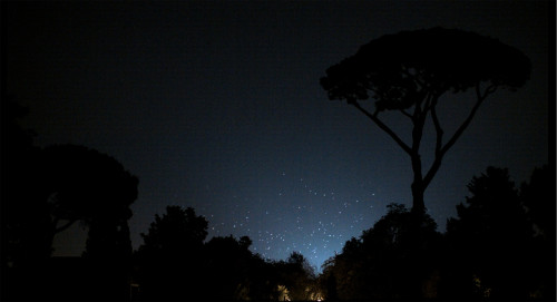 
     
     <i>Oiseaux</i>,      2014<br />
     HD video, 
      3 min 55 s<br />
      