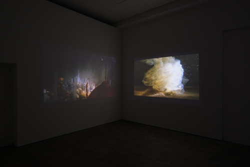 
     <i>Exhibition view Wentrup, Berlin, Germany</i>, 
     2014<br />
      
     <br />
     