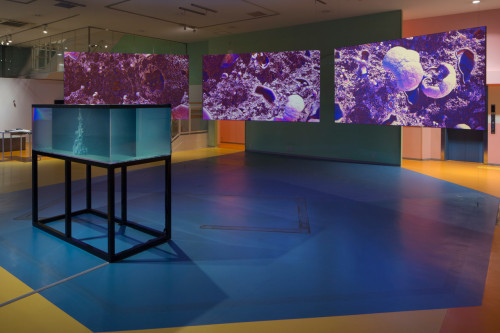 
      
     <br />
     Exhibition view, Yokohama Triennale, Japan, 2020, 
     <br />
     