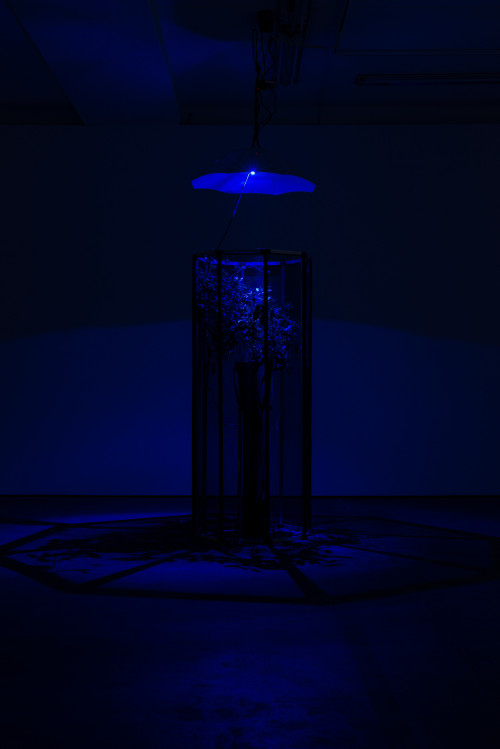 
     <i>Exhibition view Wentrup, Berlin, Germany</i>, 
     2015<br />
      
     <br />
     