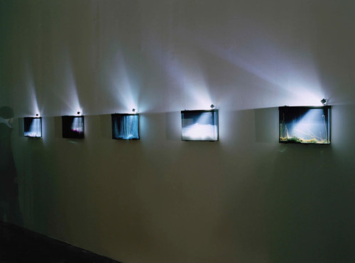 
     <i>Exhibition view, Palais de Tokyo, 