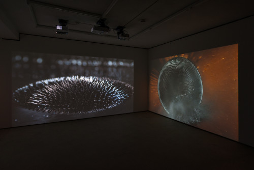 
     <i>Installation view WNTRP, Berlin, Germany</i>, 
     2016<br />
      
     <br />
     