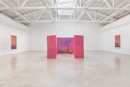 
      
     <br />
      
     <br />
     Installation view Shane Campbell Gallery, Chicago, 2017