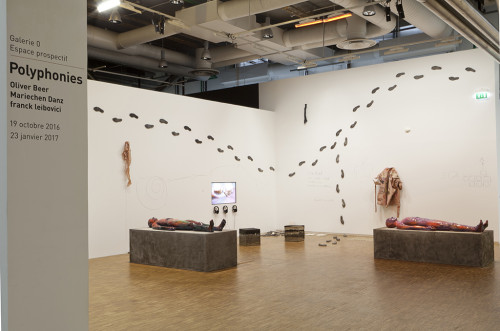 
     <i>Of Scream Of Stone</i>, 
     2016<br />
     Installation “Polyphonies”, Centre Pompidou, Paris, France, 2016, 
     <br />
     photo : Herve Veronese