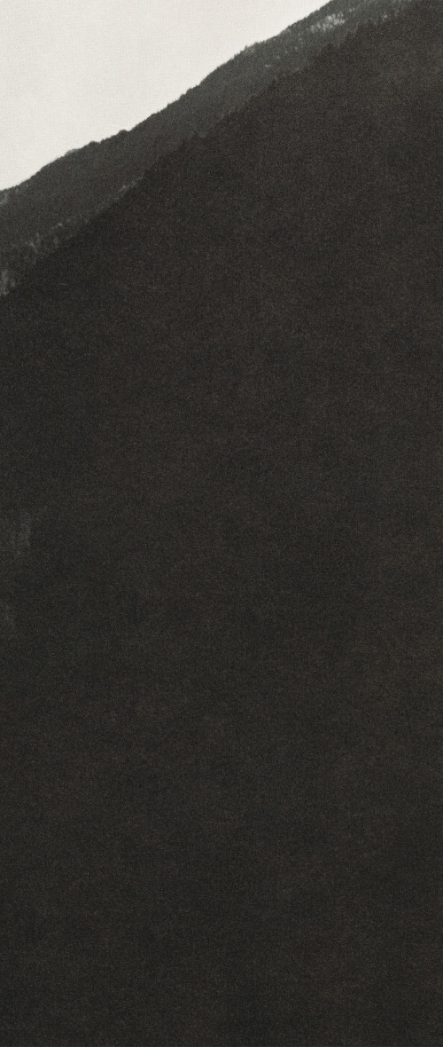 
     <i>Silhouette 1</i>, 
     2019<br />
     Pigment Print, 
      100 x 42 cm<br />
     