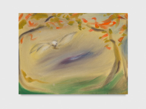 
     <i>Barn Owl</i>, 
     2019<br />
     acrylic on canvas, 
      62 x 81 cm<br />
     