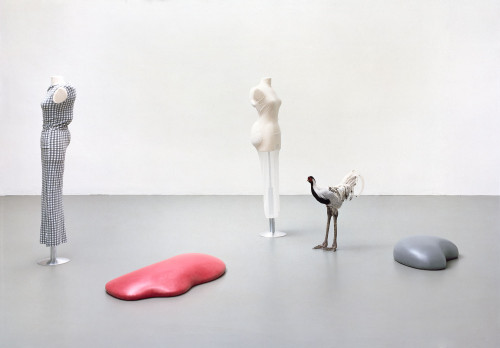
     <i>Déformation Professionnelle (Gummis,Tierpräparate und Kleider von Comme des Garçons)</i>, 
     <br />
      
     <br />
     Installation view, Kölnischer Kunstverein, Cologne, Germany, 1997