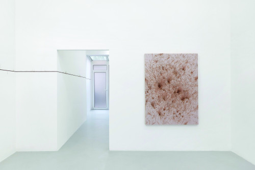
      
     <br />
      
     <br />
     Installation view: LIGHT, Natalia Hug, Cologne, Germany, 2016