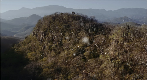 <i>Coordenadas (Asymmetrical Threats)</i>, 2018<br />2 channel video, 5 minutes loop<br />Edition of 7 + 2 AP