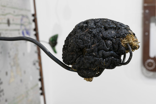 <i>Brain (soil sample / hay)</i>, 2018<br />hay, soil, resin, 13 x 13 x 15.5 cm<br />